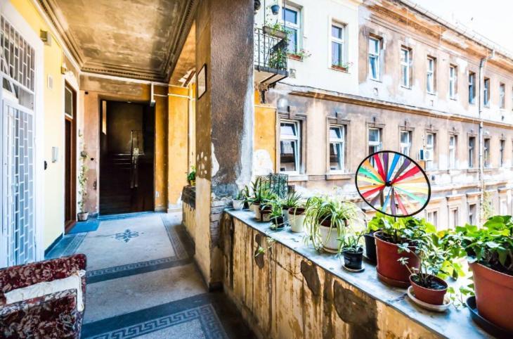 בודפשט Bpr Szondi Cozy Apartment מראה חיצוני תמונה